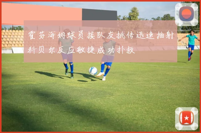 霍芬海姆球员接队友挑传迅速抽射科贝尔反应敏捷成功扑救