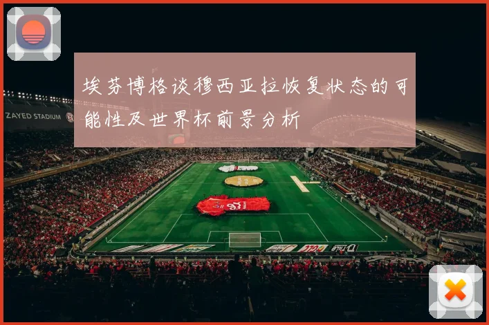 埃芬博格谈穆西亚拉恢复状态的可能性及世界杯前景分析